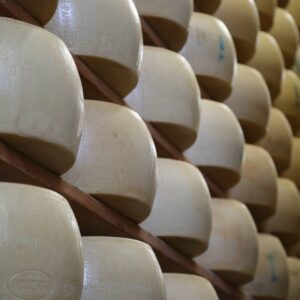 Queso de Cabra Envejecido en Bodega